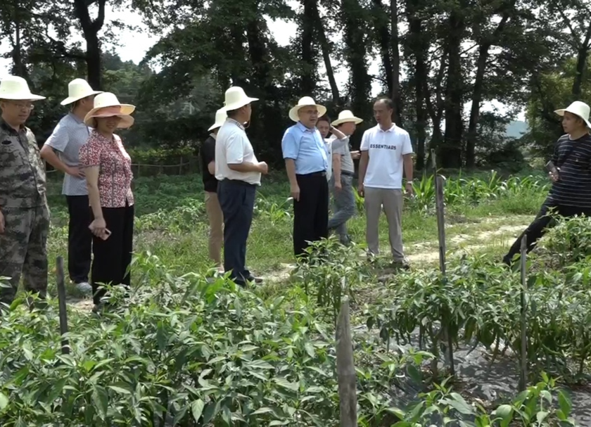 县政协机关到泉明村开展“我为群众办实事”实践活动暨“学党史 办实事 除隐患 保安全”行动
