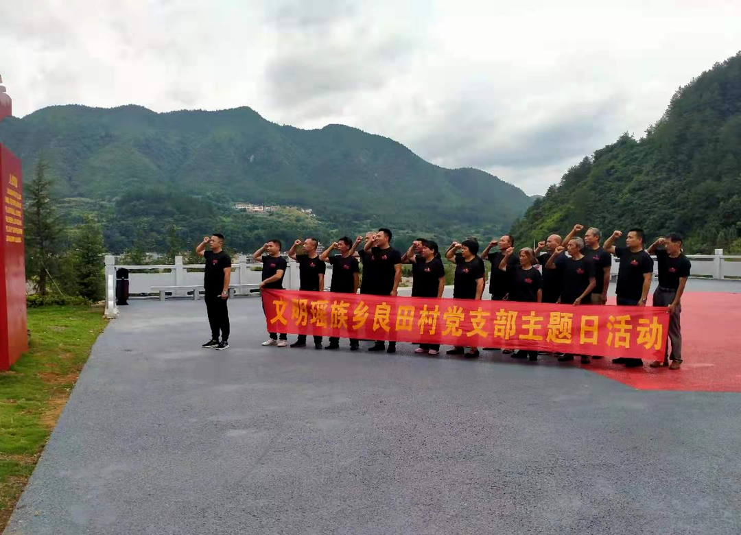 文明瑶族乡良田村党支部组织党员开展主题党日活动
