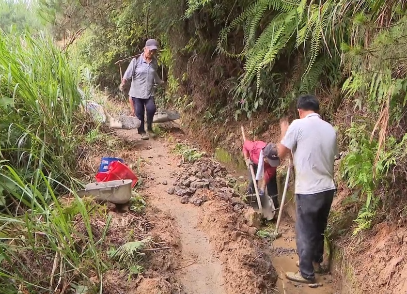 【我为群众办实事】下杨村：修水渠 助灌溉 惠民生