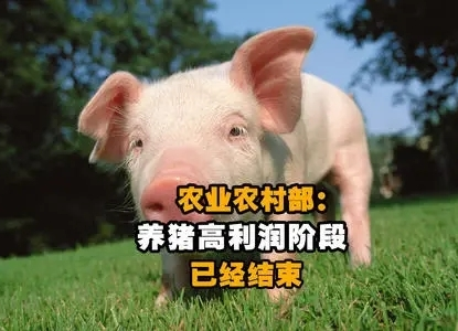 农业农村部：养猪高利润阶段已经结束