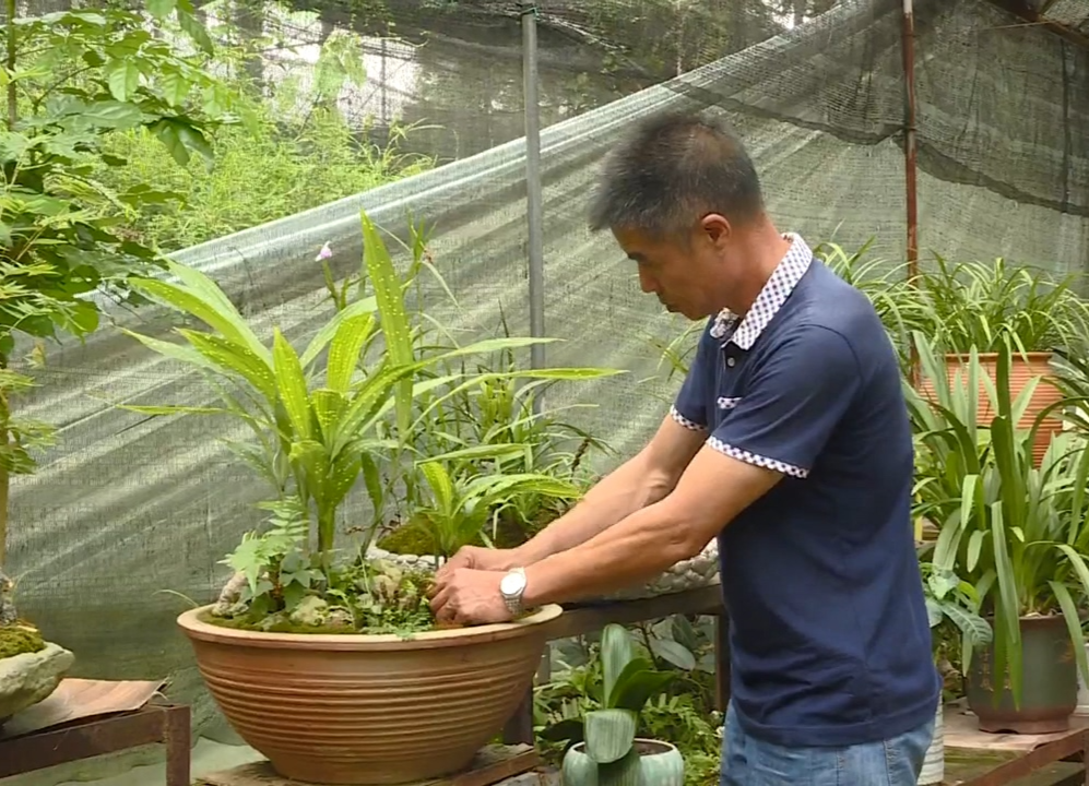 郴州汝城张国荣：用心养好兰 培育新农人