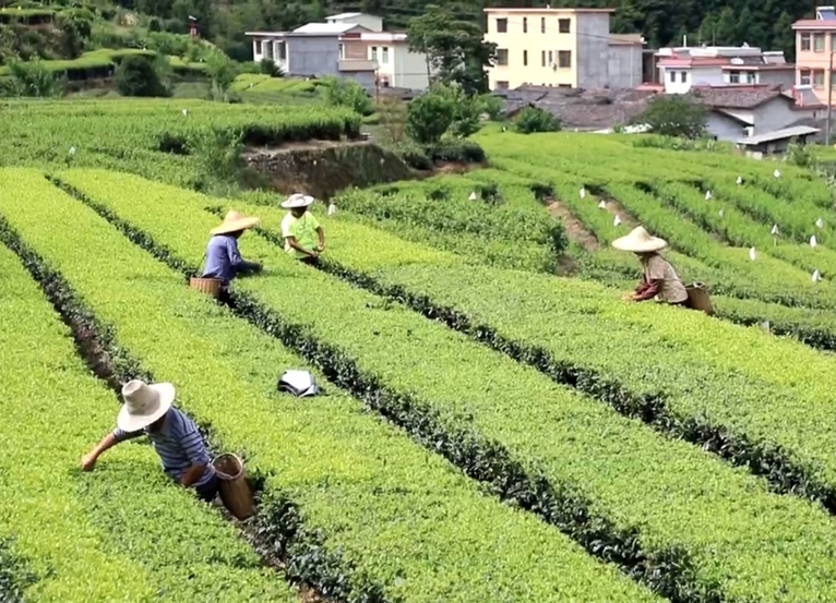 【喜迎党代会】系列报道二