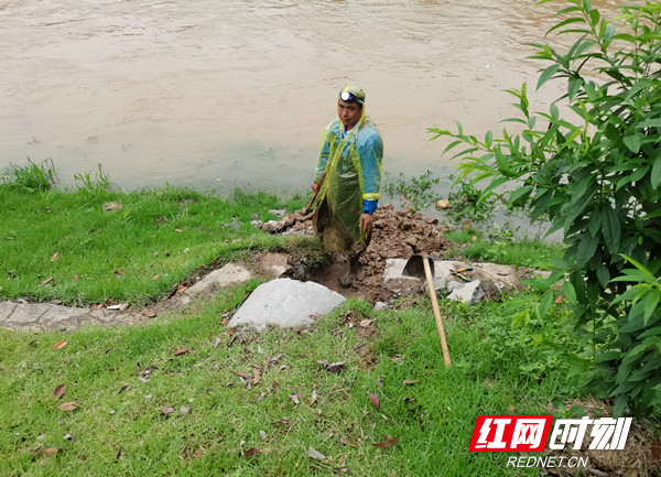 在抗击洪涝中沙洲干群齐心协力保安全