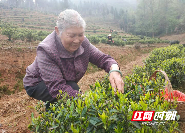 汝城：学党史办实事 践初心谋民富