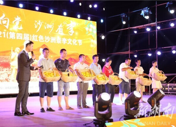 红心向党 沙洲有“李”丨汝城县第四届柰李文化旅游节开幕