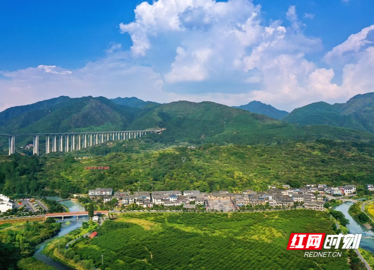 沙洲村的“红火密码”