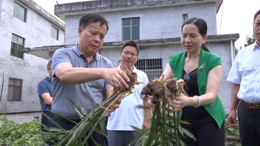 刘宗林到我县调研指导快乐瑶族村乡村振兴工作