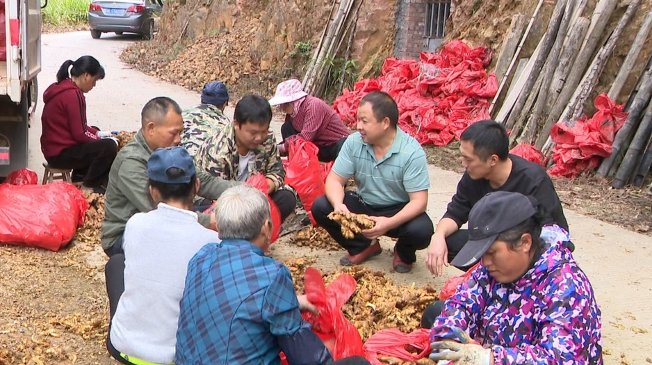 【我为群众办实事】 朱永明：放弃高薪当支书 为民办事解难题