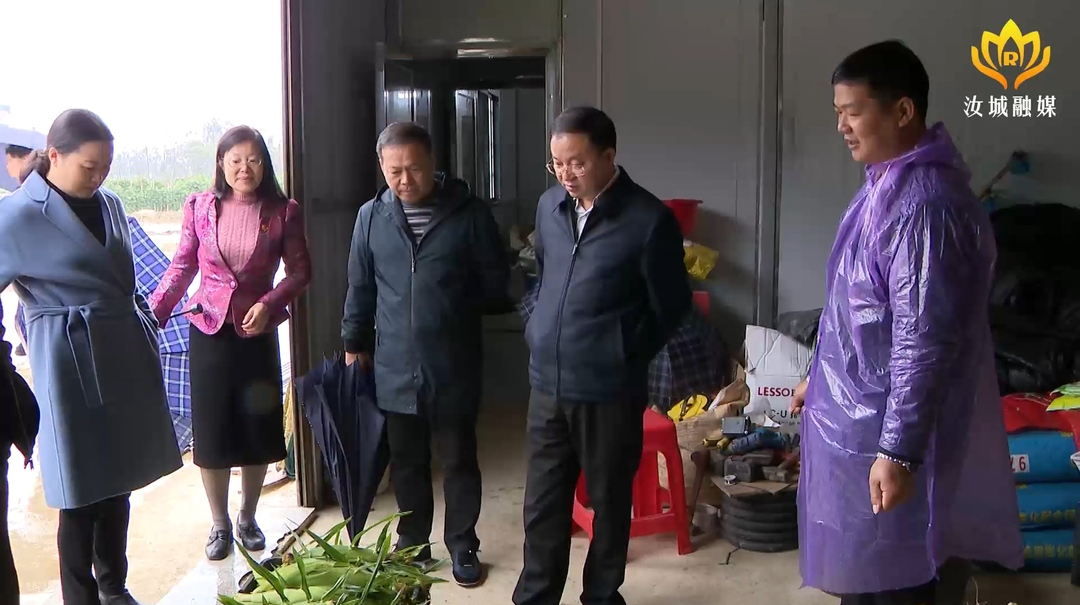 黄四平到暖水镇调研基层治理 产业发展 乡村振兴等工作