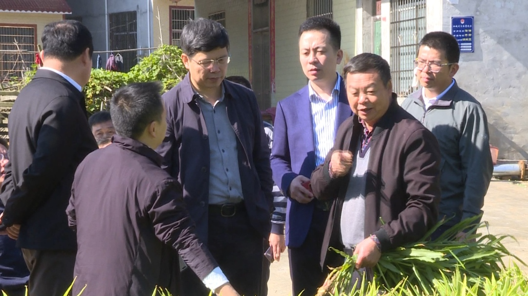 叶红专来汝调研乡村振兴驻点帮扶工作：紧抓发展机遇  聚焦产业发力  助推乡村振兴