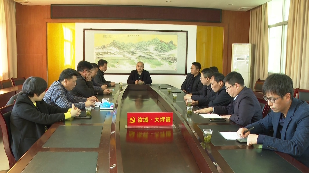 邱文辉考察调研大坪镇铁炉江生态农旅项目