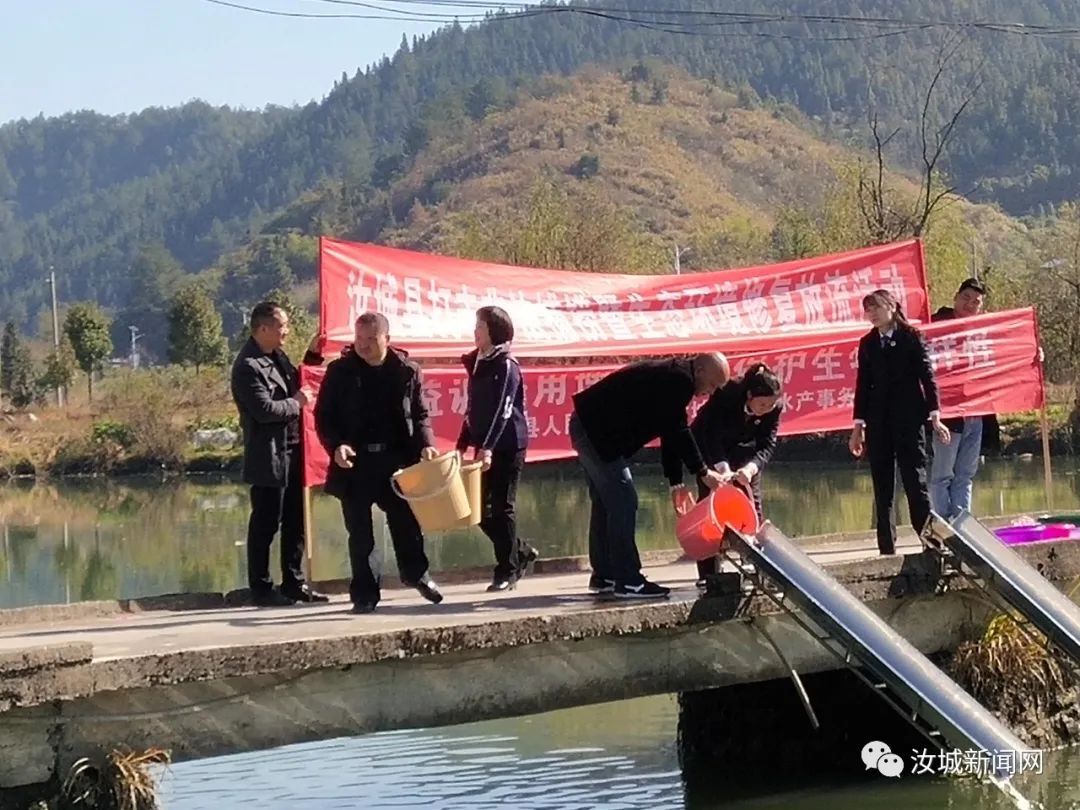 增殖放流鱼苗280斤，守护汝城特色生态发展之路