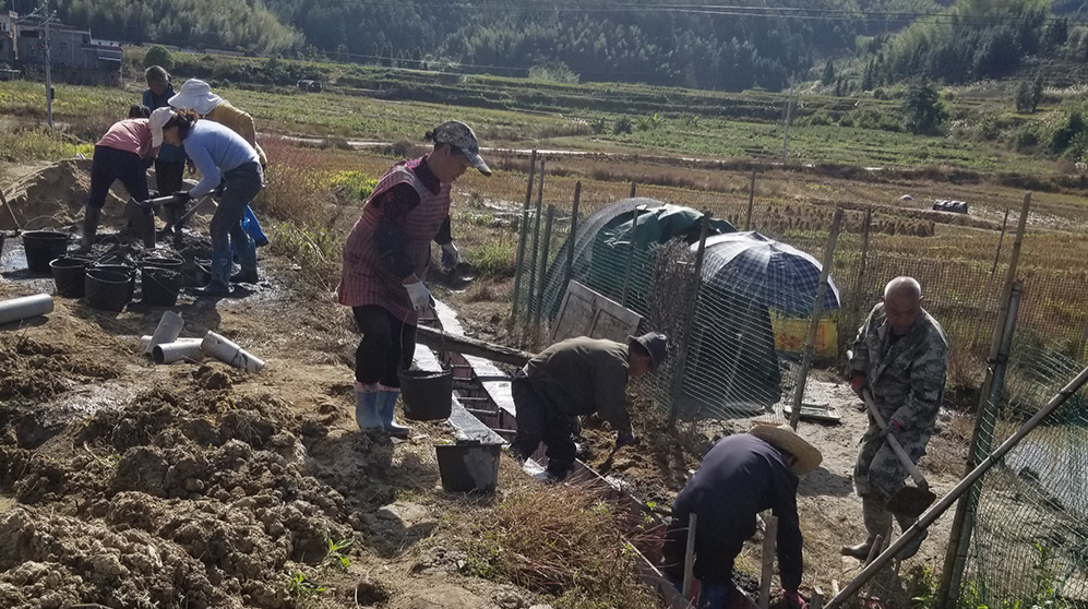 三江口瑶族镇：干群合力“解难题”，水渠连通“干群心”