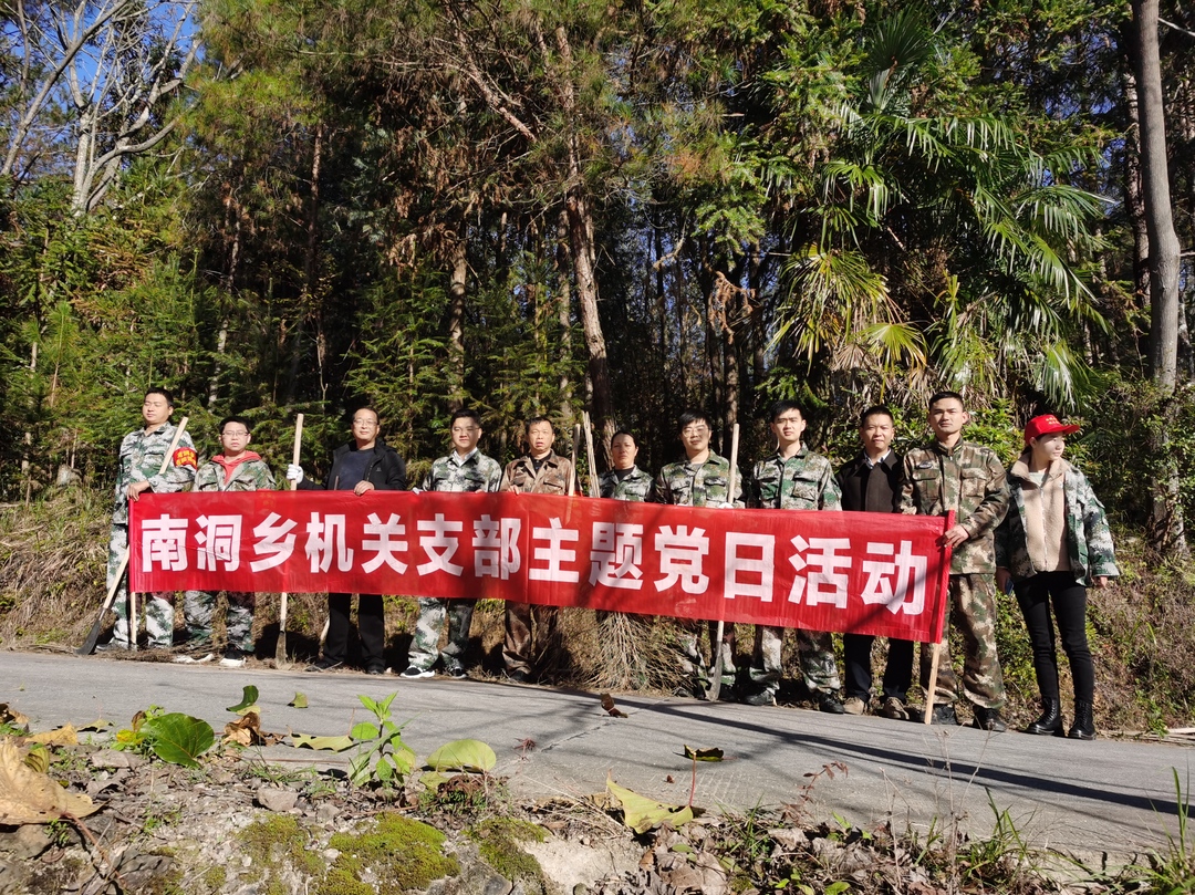 南洞乡：开展“党建+森林防火”主题党日活动