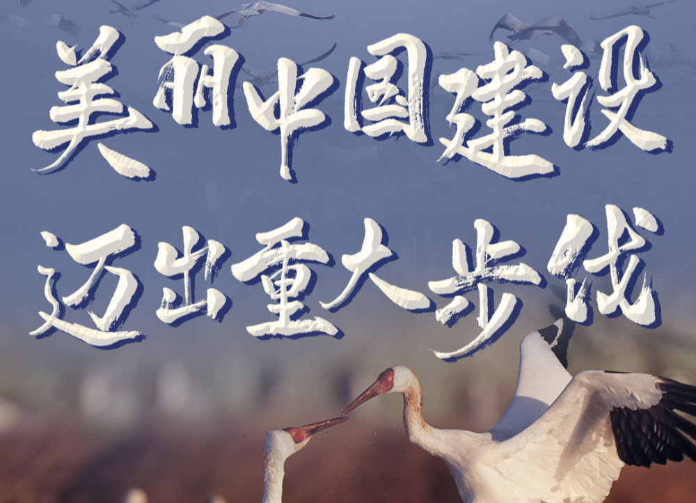 美丽中国建设迈出重大步伐——各地贯彻落实六中全会精神建设生态文明观察