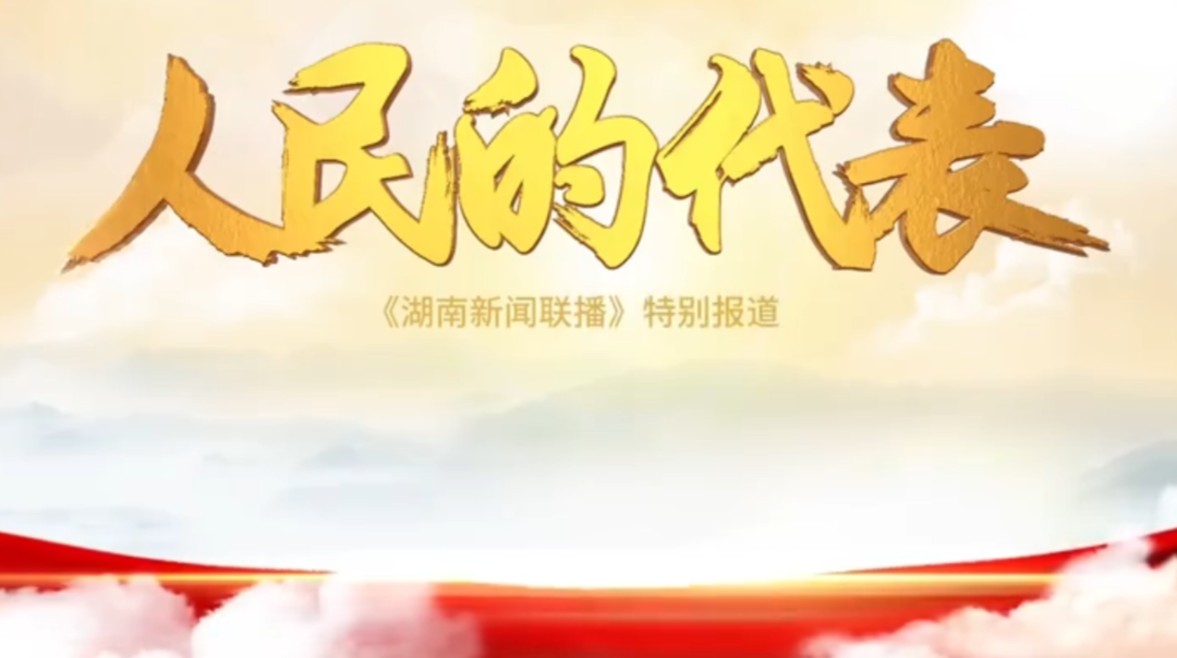 人民的代表