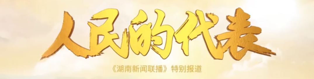 人民的代表