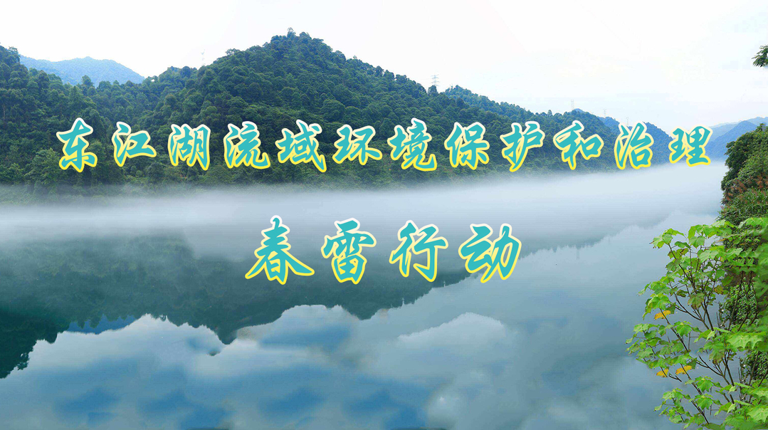 东江湖流域环境保护和治理春雷行动