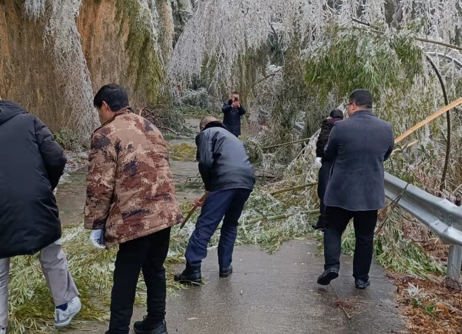 卢阳镇：“四个到位”应对低温雨雪冰冻天气