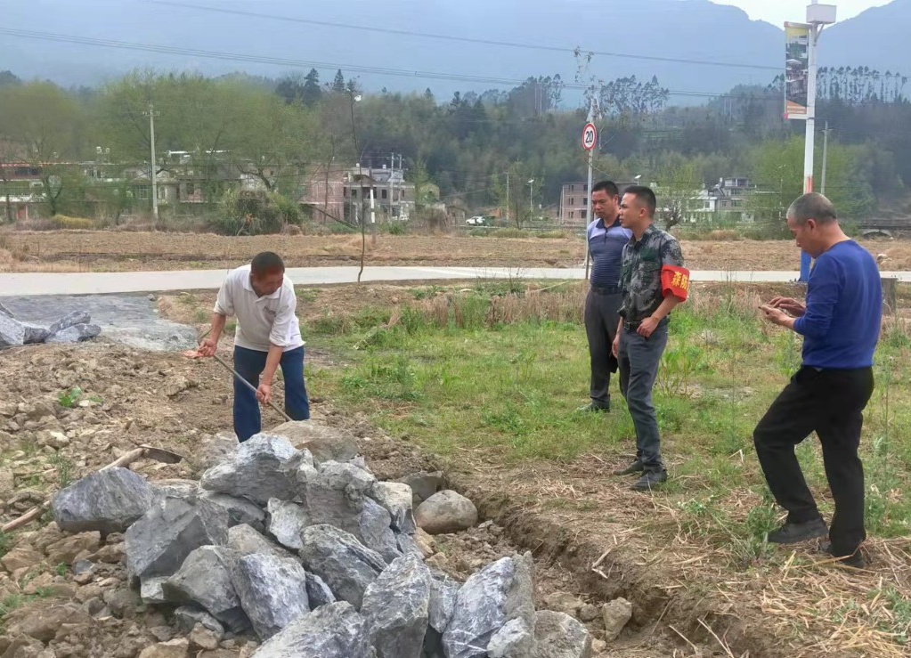 暖水镇：斩断违建的“念头”，消除违建的“源头”