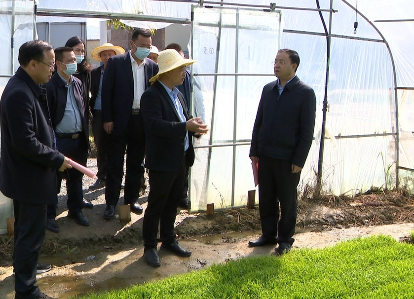 【解放思想拼命干 干出汝城“十大变化”】黄四平调研春耕备耕、乡村振兴等工作