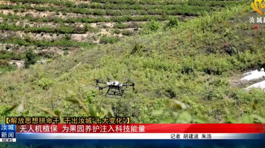 【解放思想拼命干 干出汝城“十大变化”】无人机植保 为果园养护注入科技能量
