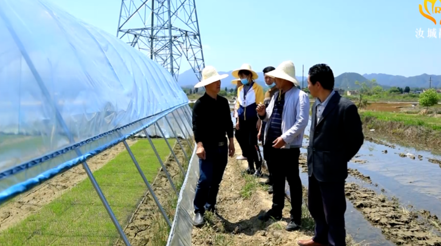 【铸魂提能建设年】系列报道:卢阳镇“三抓三化”铸魂提能