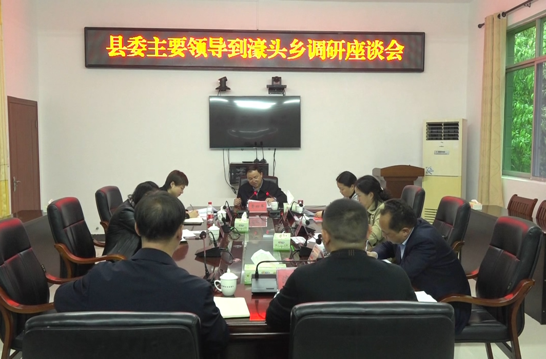 【解放思想拼命干 干出汝城“十大变化”】黄四平调研濠头乡乡村振兴工作