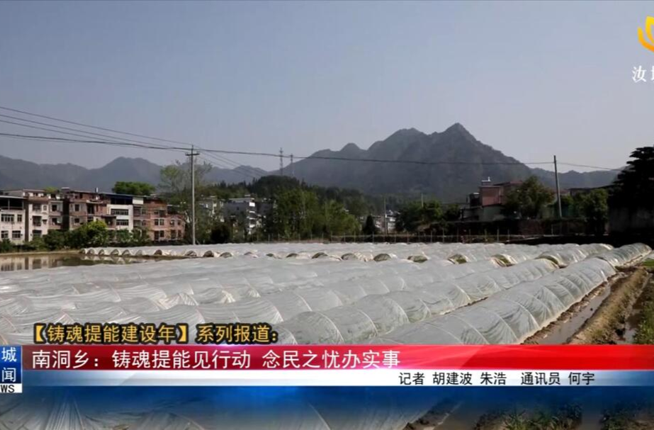 【铸魂提能建设年】系列报道:南洞乡：铸魂提能见行动 念民之忧办实事