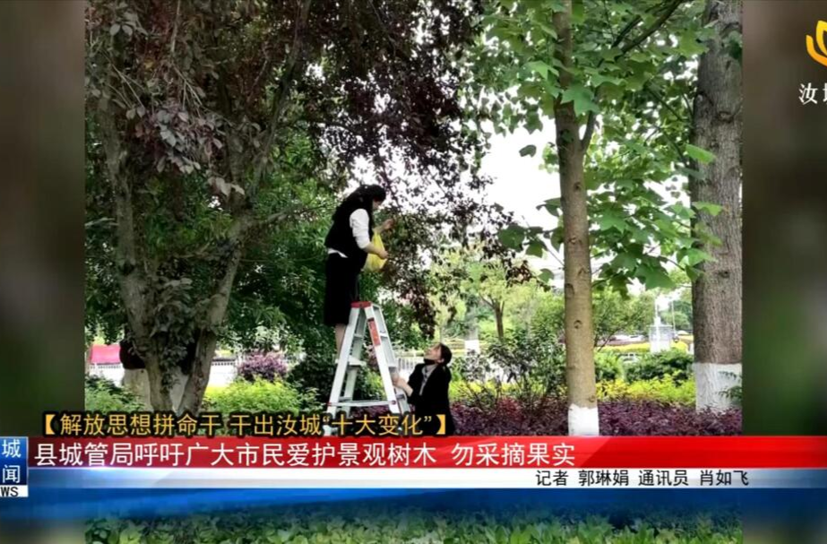 【解放思想拼命干 干出汝城“十大变化”】县城管局呼吁广大市民爱护景观树木   勿采摘果实