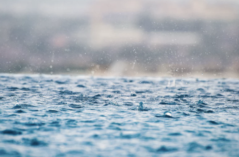 近期强降雨登场，环境卫生怎么应对？