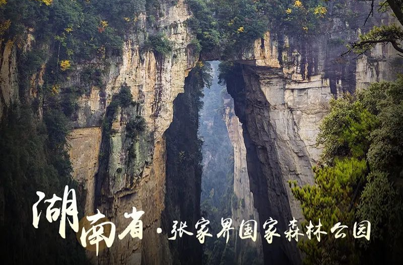 暑假福利！全国多地景区免门票！