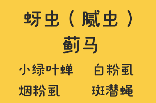 有的颜色招虫，有的颜色太热……夏天到底该如何穿衣？