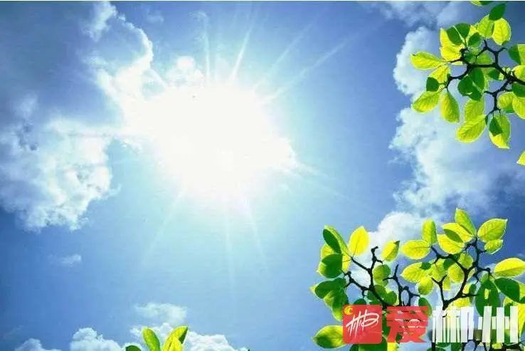 注意防暑！郴州未来一周最高气温“冲高”40度