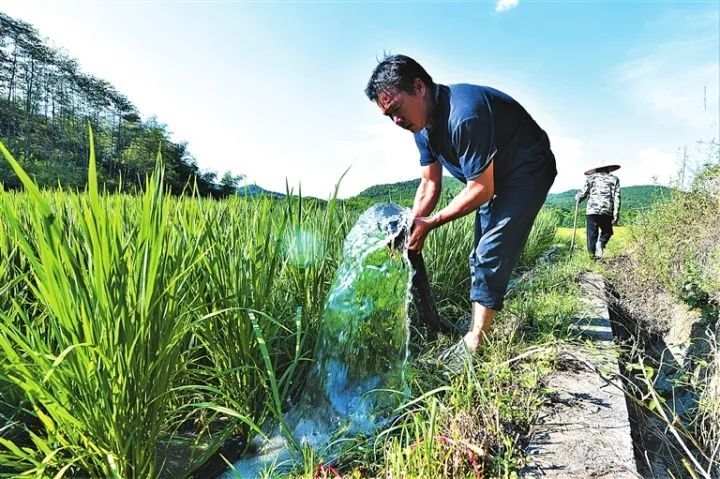 “汗”战！应对高温大“烤”