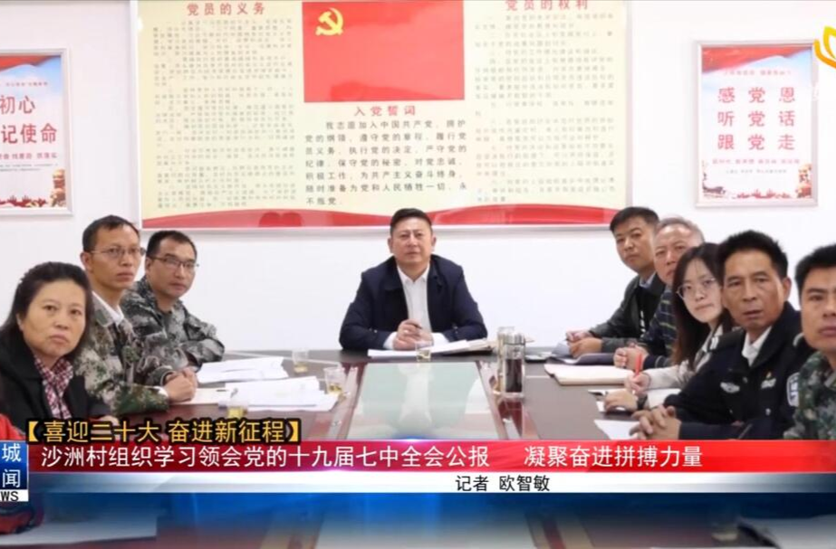 【喜迎二十大 奋进新征程】沙洲村组织学习领会党的十九届七中全会公报   凝聚奋进拼搏力量