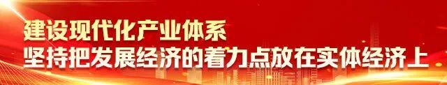 加快构建新发展格局 着力推动高质量发展——湖南代表团代表热议党的二十大报告之二