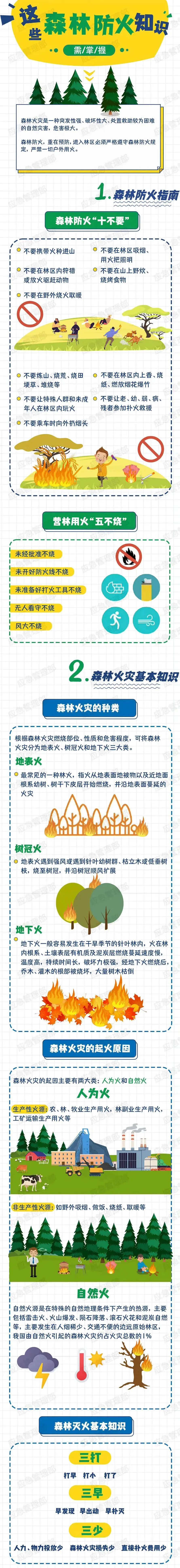 必备！这些森林防火知识需掌握