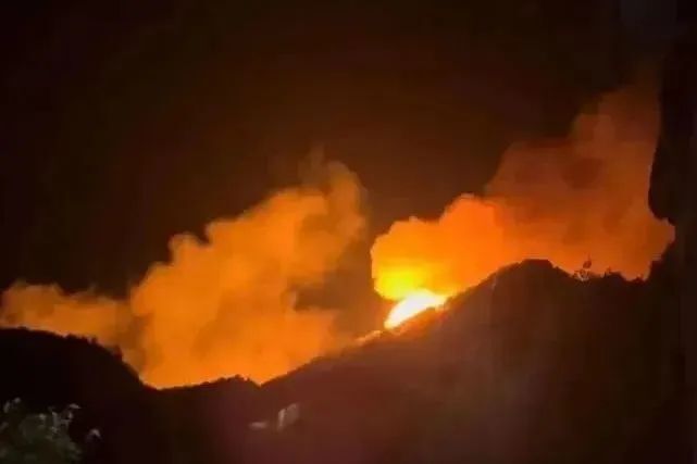 极端高温引发多地山火！遇到森林火灾要这样自救