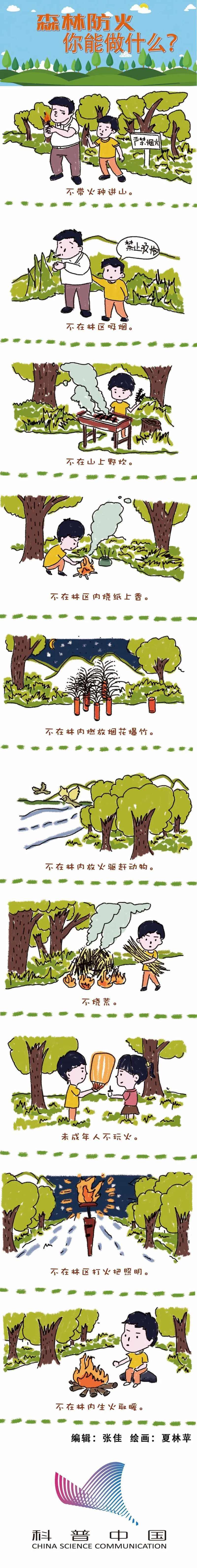 森林防火，你能做什么？