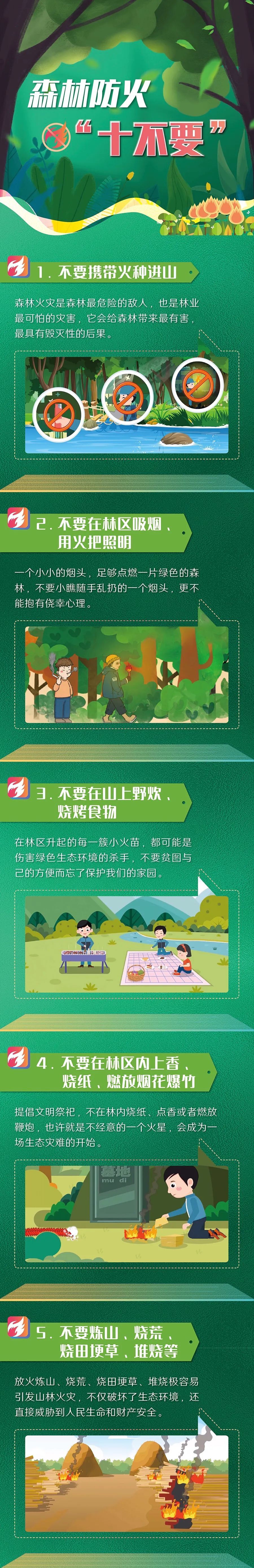森林防火｜森林防火“十不要”