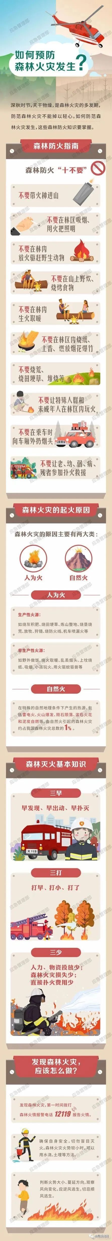 森林防火不松懈 | 如何预防森林火灾发生？