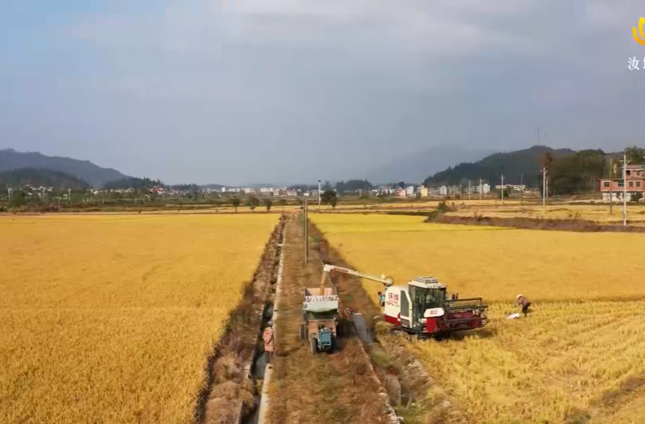 【“面对面”问群众 “心连心”交朋友“ 实打实”解难题】建设高标准农田 夯实粮食安全根基