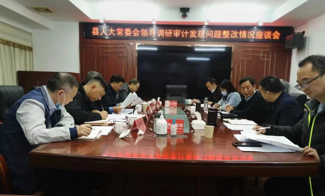 人大监督推动 协调推进联动  审计查出问题整改跑动