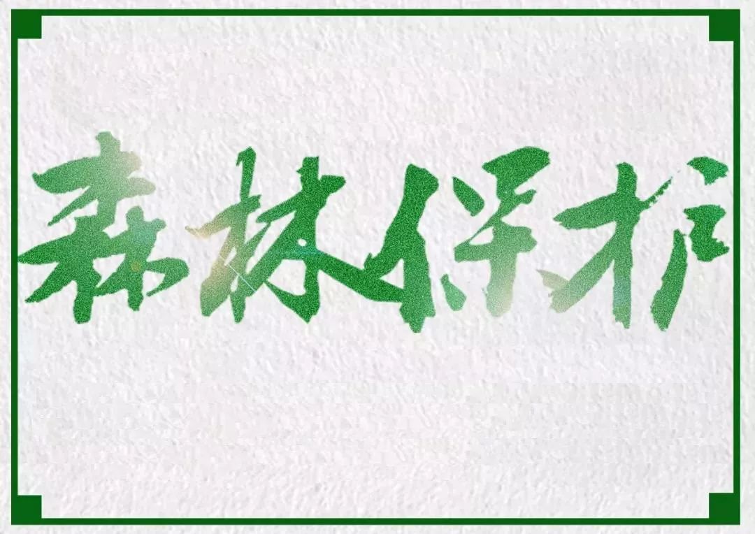 森林防火急电！你必须知道！