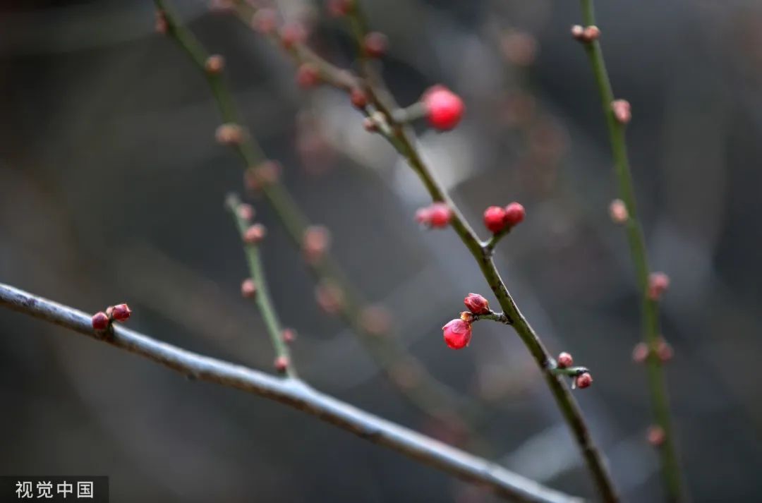 今日，小寒