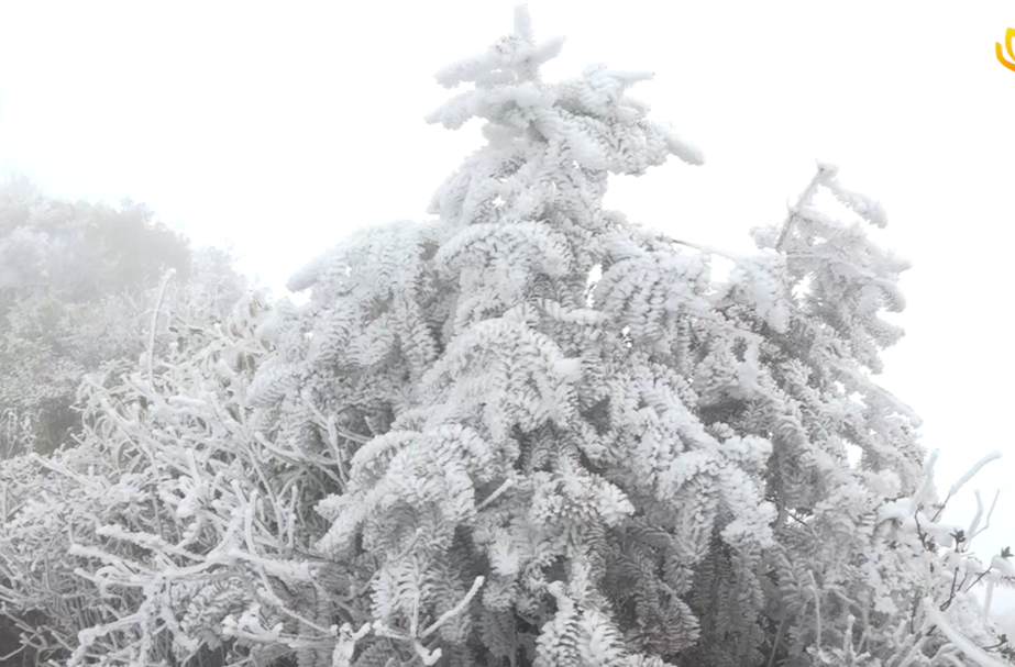 【旅发进行时】全县各地普降瑞雪 银装素裹喜迎新春