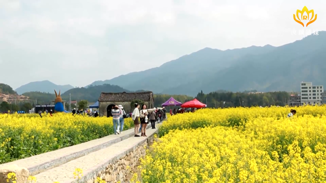 【旅发进行时】油菜花海迎客来 农旅融合促振兴