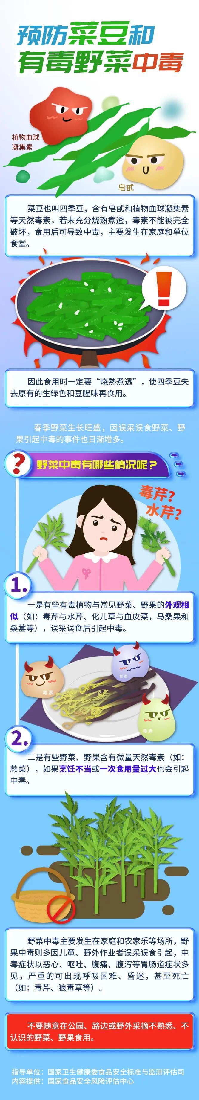 如何预防菜豆和有毒野菜中毒？一图读懂！