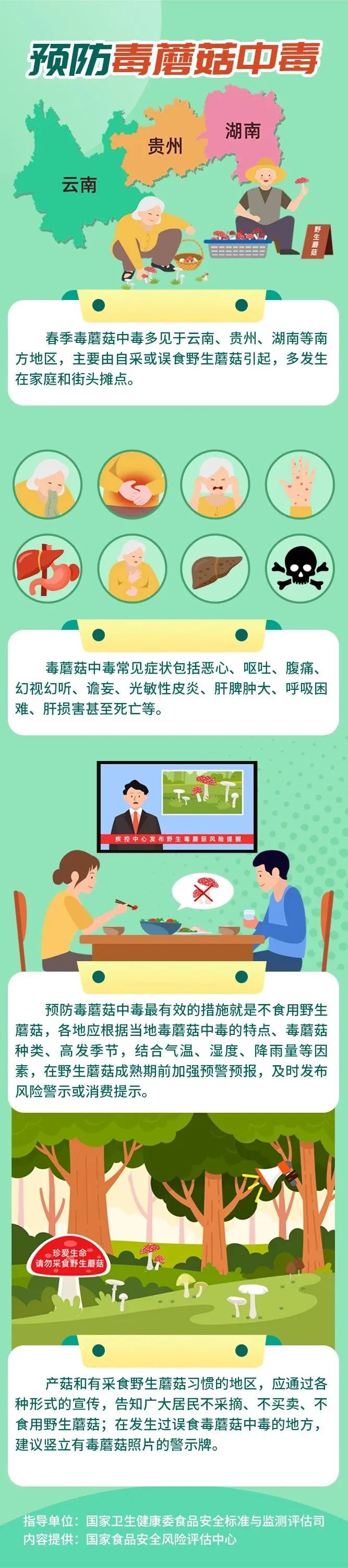 一图读懂｜如何预防毒蘑菇中毒？
